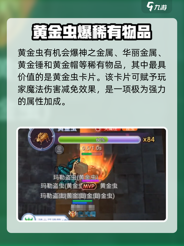 巴风特之怒黄金虫在哪里刷新介绍截图5