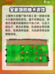 植物大战僵尸抽卡版手机怎么玩介绍截图2