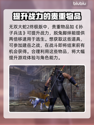 无双大蛇2终极版😎全贵重物品一览🎉截图2