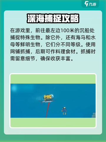 潜水员戴夫平鳍旗鱼介绍介绍截图4