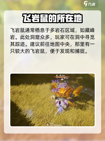 仙剑世界🔥飞岩鼠抓捕秘籍쥐截图2