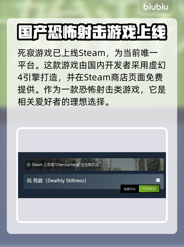 死寂游戏上线平台大曝光！🔥玩家必看📖截图2