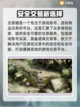 棕色尘埃2🔥高人气游戏买号平台推荐🎉截图2
