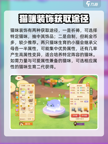 猫咪公寓2🔥猫咪培养秘籍💎新手必看！截图3