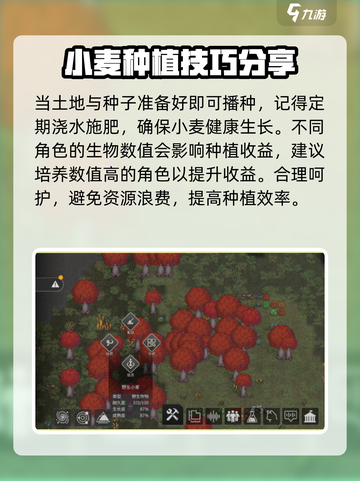 秩序新曙光✨：快速获取小麦攻略来了！截图3