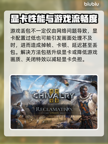 🎮《骑士精神2》延迟丢包？速看解决妙招！截图6
