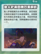 失落城堡2图腾武器有哪些介绍截图2