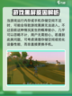 艾兰岛打不开？🔥一招教你快速解决❗截图4