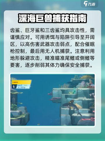 潜水员戴夫鲨鱼怎么抓介绍截图3