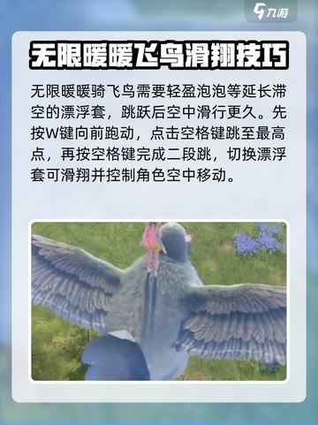 无限暖暖：骑飞鸟秘籍大公开！🔥🎮截图2
