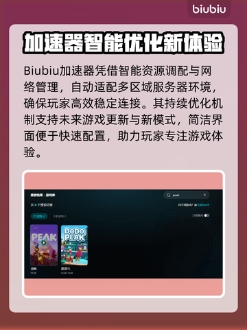 peak加速器低延迟秘诀🎮✨截图5