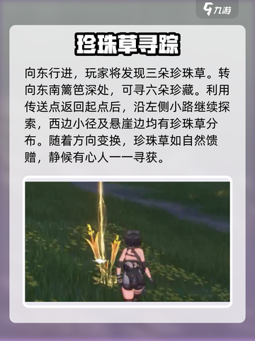 《鸣潮珍珠草全收集攻略💎速拿指南》截图3