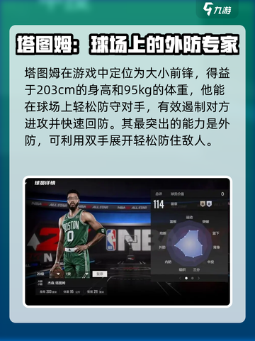 美职篮全明星塔图姆怎么样介绍截图3