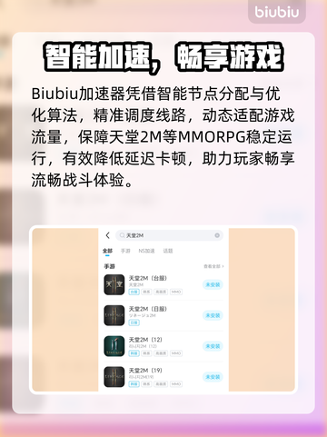 🎮天堂2M卡顿掉帧？加速器选择攻略来啦！🔥截图3