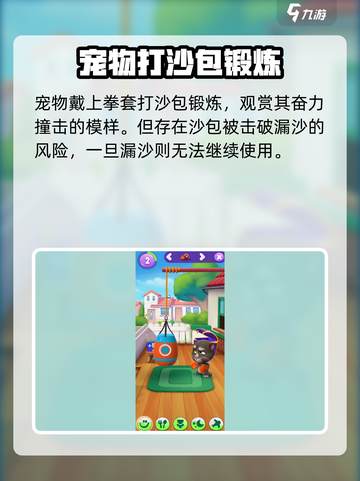 我的汤姆猫2宠物玩具有什么介绍截图5
