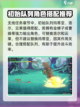 再刷一把2金色传说支线怎么做介绍截图3