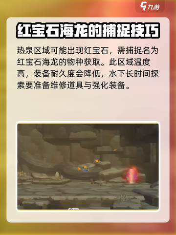 潜水员戴夫红宝石在哪介绍截图4