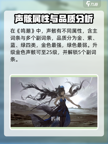 鸣潮暗鬃狼🔥超详细声骸攻略来啦！快人一步制胜💡截图4
