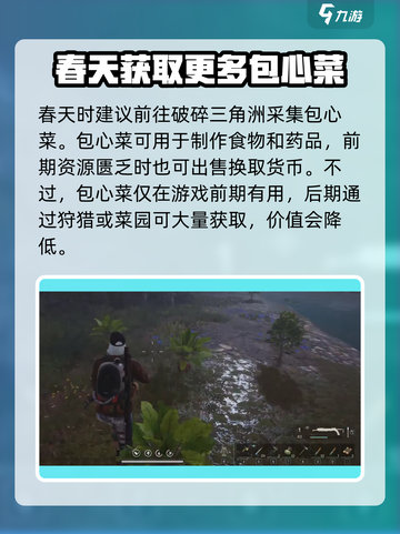 七日世界包心菜🔥超详细玩法攻略来了！截图4