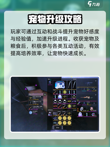 萤火突击🐶宠物粮秒刷攻略！✨截图4