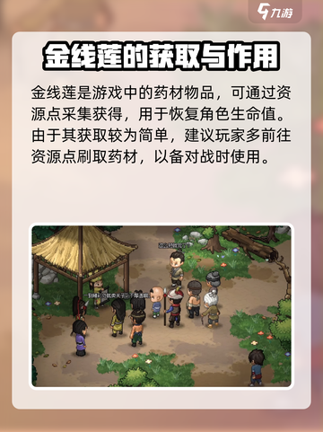 大侠立志传🔥金线莲获取攻略✨超简单方法！截图2