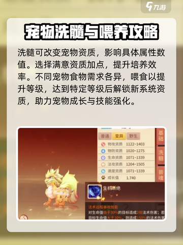梦想桃源宠物养成🔥超详细玩法解析来啦！截图3