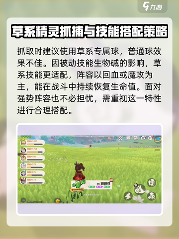 洛克王国世界蹦蹦种子在哪介绍截图4