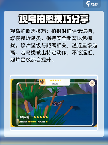心动小镇鸟类图鉴有哪些介绍截图4
