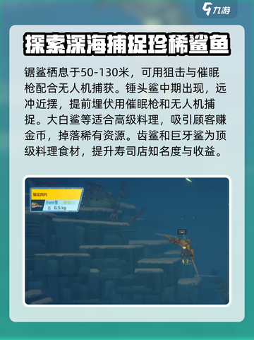 潜水员戴夫鲨鱼怎么抓介绍截图4