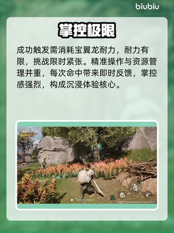 🔥《怪物猎人》追翼夺宝全攻略💥截图3