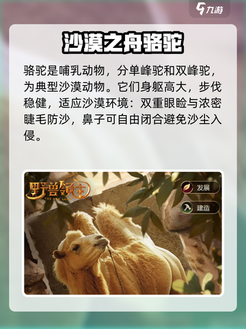 野兽领主新世界骆驼怎么样介绍截图2
