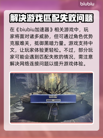 艾尔登法环黑夜君临匹配失败？❌解决方法来了！🔥截图2