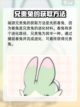 洛克王国手游兄贵兔怎么获得介绍截图2