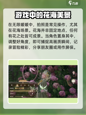 无限暖暖花海怎么拍照介绍截图2