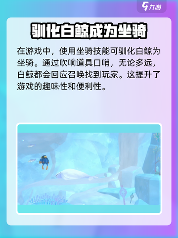 潜水员戴夫白鲸怎么骑介绍截图3