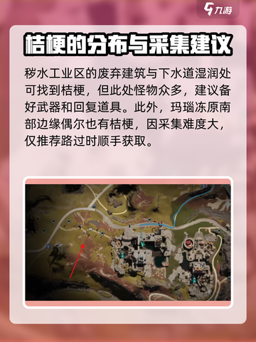 七日世界桔梗在哪里采集介绍截图3