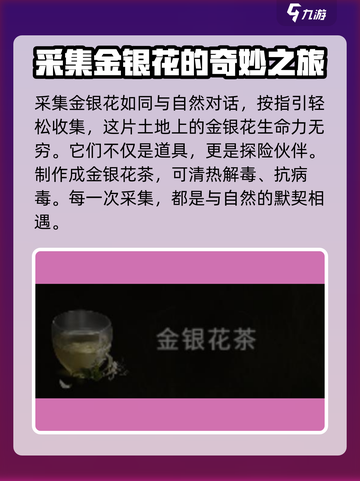 七日世界🔥金银花位置大曝光！速来打卡采集✨截图3