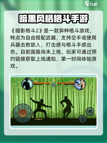 暗影格斗2还能玩吗介绍截图2