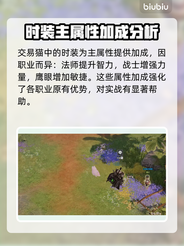 命运方舟时装属性大揭秘🔥游戏玩家必看！截图2