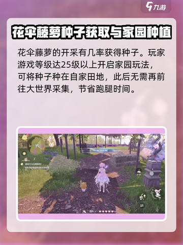 无限暖暖花伞藤萝是什么介绍截图3