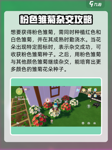 心动小镇🔥粉色雏菊培育秘籍🌸让你的花园美翻天！截图4