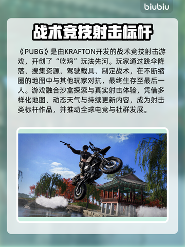🔥PUBG掉帧救星！秒变吃鸡王者👑截图2