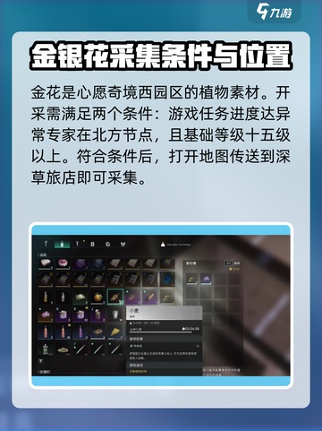 七日世界🔥金银花位置大揭秘！📌截图2