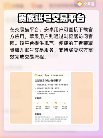 🎮王者贵族9充值攻略！账号估值平台大揭秘💥截图2