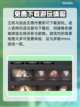 王权与自由国际服💰竟然免费？别错过🔥截图2