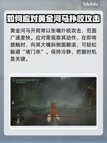 艾尔登法环🔥黄金河马打法揭秘，轻松通关秘籍！🎮截图3