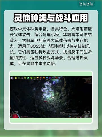 流放之路🔥召唤灵体全攻略！💎截图2