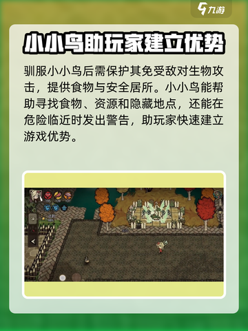 饥荒新家园小小鸟怎么玩介绍截图3