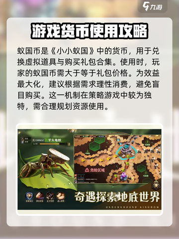小小蚁国蚁国币怎么用比较合理介绍截图3
