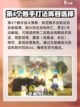 胜利女神新的希望铁匠怎么打介绍截图3